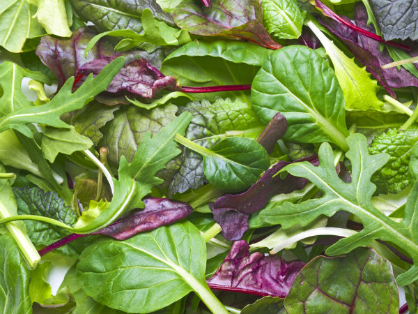  ഇലക്കറികള്‍