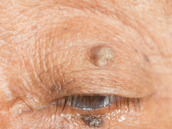 ചിത്രപാല