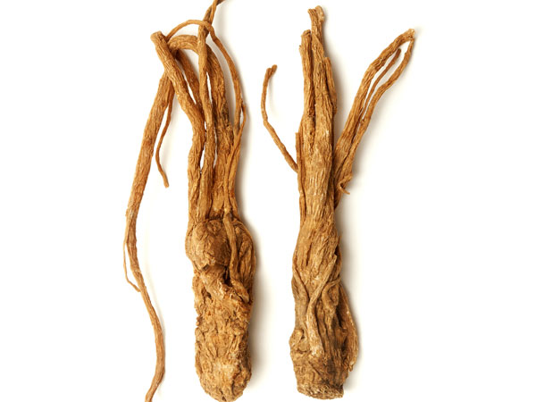 ജിന്‍സെംങ്