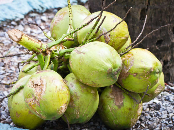  തേങ്ങാവെള്ളം