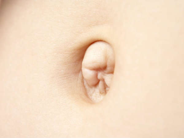 വലിയ പൊക്കിള്‍