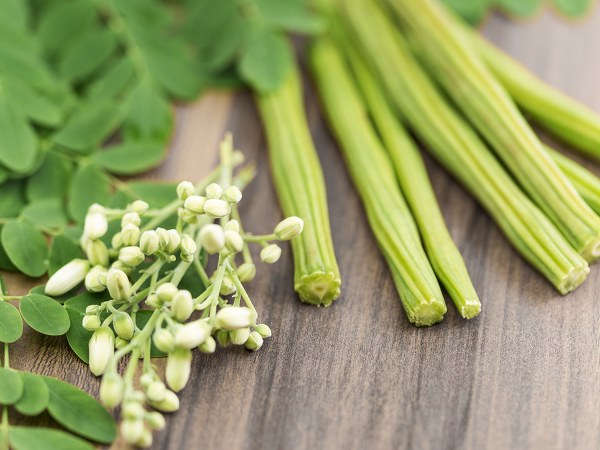 മുരിങ്ങാപ്പൂ പാലില്‍