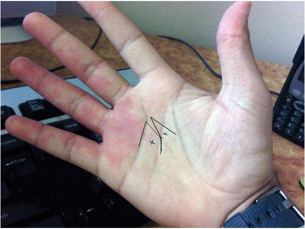 ബട്ടര്‍ഫ്‌ളൈ 