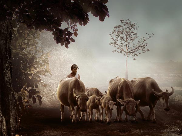 എന്ജിഒ എന്ജിഒ