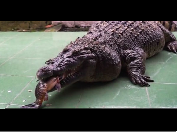 20 വര്‍ഷത്തോളം