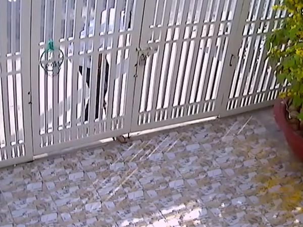 വളര്‍ത്തുനായ ഉണ്ടെങ്കിലും