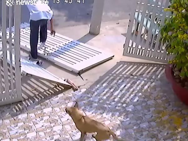  സാന്‍ഡ് വിച്ചിനേക്കാള്‍ കഷ്ടം