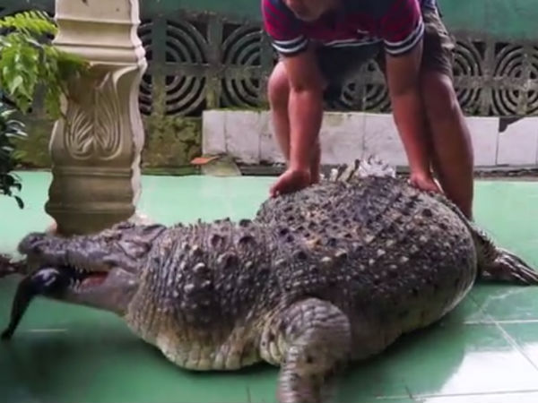  വൃത്തിയാക്കുന്ന ജോലി