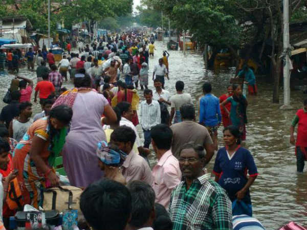 ഇഴജന്തുക്കളുടെ ഉപദ്രവം