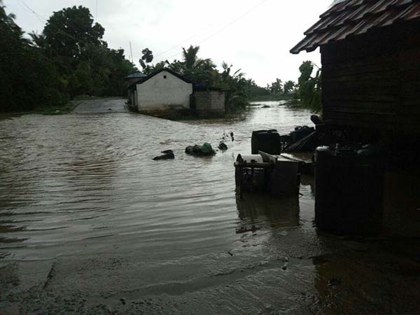 കുടിവെള്ളം ശുദ്ധീകരിക്കാനായി ഉപയോഗിക്കാവുന്ന ബ്ലീച്ചുകൾ : കുടിവെള്ളം ശുദ്ധീകരിക്കാനായി ഉപയോഗിക്കാവുന്ന ബ്ലീച്ചുകൾ :