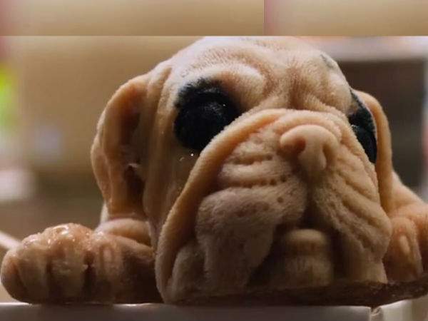 പ്രധാന മെനു