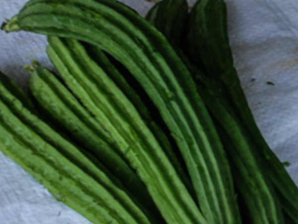 റിഡ്ജ് ഗോര്‍ഡ് 