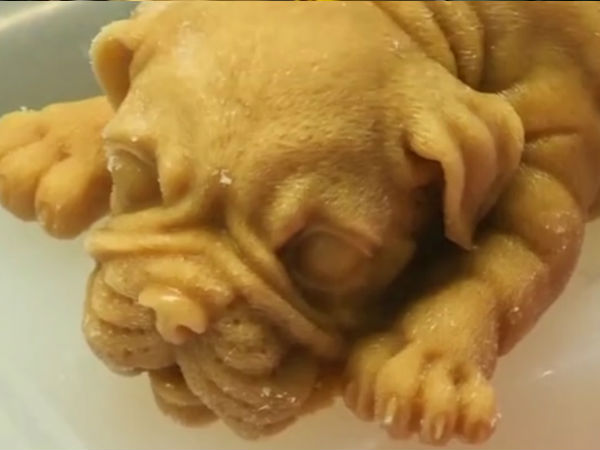  സോഷ്യല്‍ മീഡിയയിലെ താരം