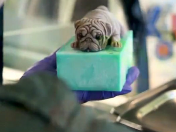 ചെറിയ ചില ഐഡിയകള്‍