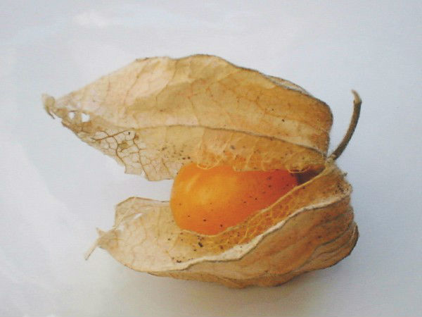  ആന്റി ഇന്‍ഫ്‌ളമേറ്ററി