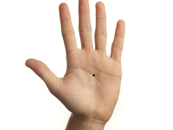  ഇടത്തേ കൈവെള്ളയില്‍