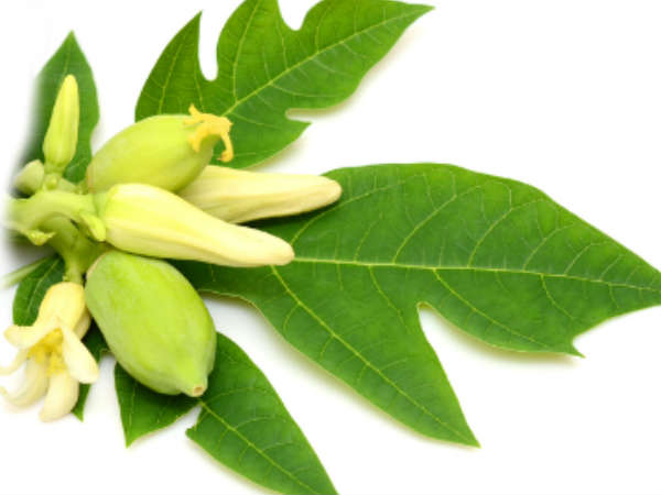 ചര്‍മത്തിന്റെ ആരോഗ്യത്തിനും 