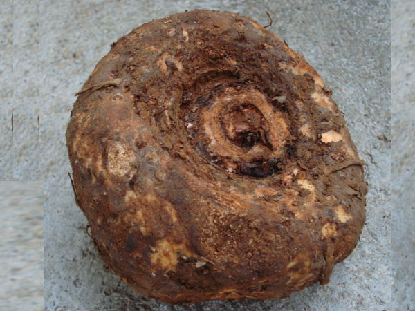 പുളിവെള്ളത്തില്‍ കഴുകാം