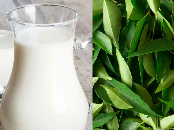 കറിവേപ്പിലയും പാലും