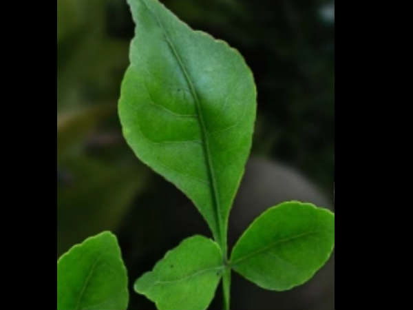 രാവിലെ വെറുംവയറ്റില് രാവിലെ വെറുംവയറ്റില്