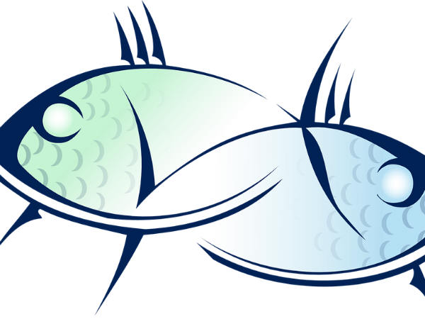 പീസസ് അഥവാ മീന രാശി പീസസ് അഥവാ മീന രാശി