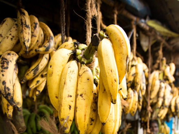 കാല്‍സ്യം 