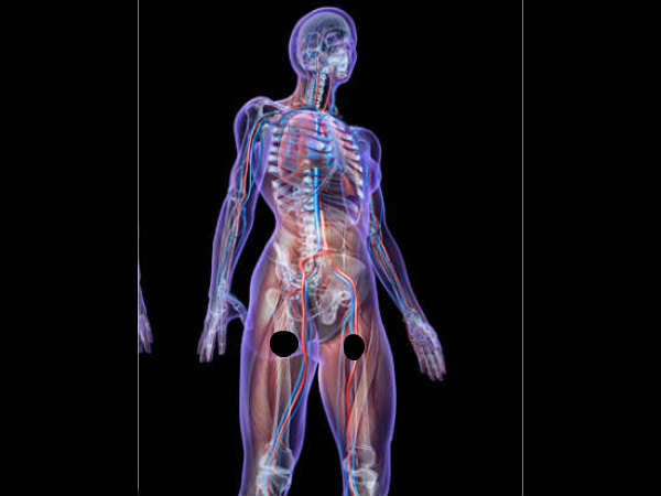ആന്തരികാവയവങ്ങളുടെ പ്രവര്‍ത്തനം