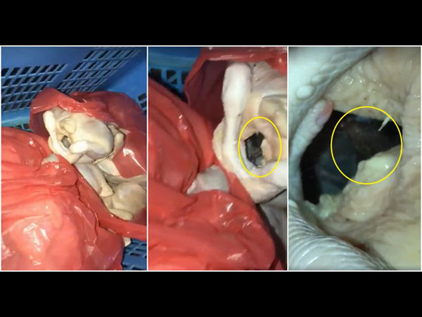 പുറത്തേക്ക് വരാനുള്ള പെടാപാട് പുറത്തേക്ക് വരാനുള്ള പെടാപാട്