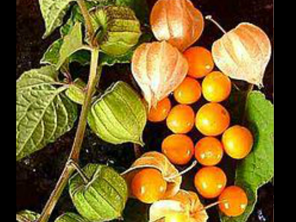 എനര്‍ജി ലെവല്‍ വര്‍ദ്ധിപ്പിക്കുന്നു