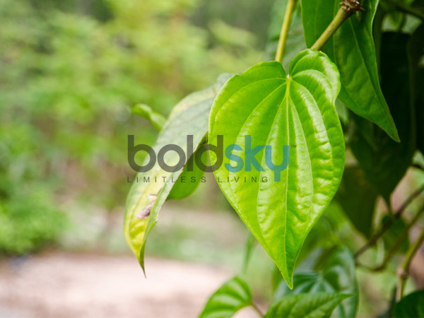  ജീവിത വിജയത്തിന്