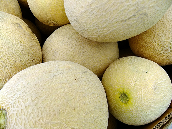 മുപ്പത്തി അഞ്ചാമത്തെ ആഴ്ച