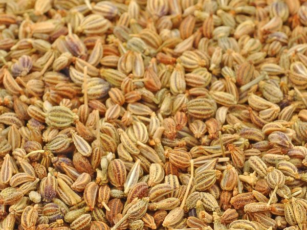 അയമോദകം