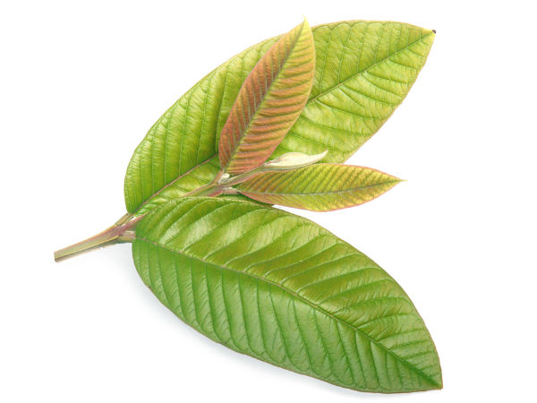 വയറിന്റെ ആരോഗ്യത്തിന് 