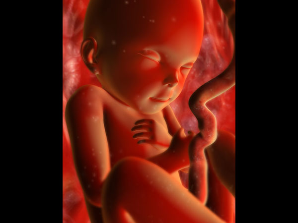 ട്രാൻസ് വജൈനൽ സ്കാൻ