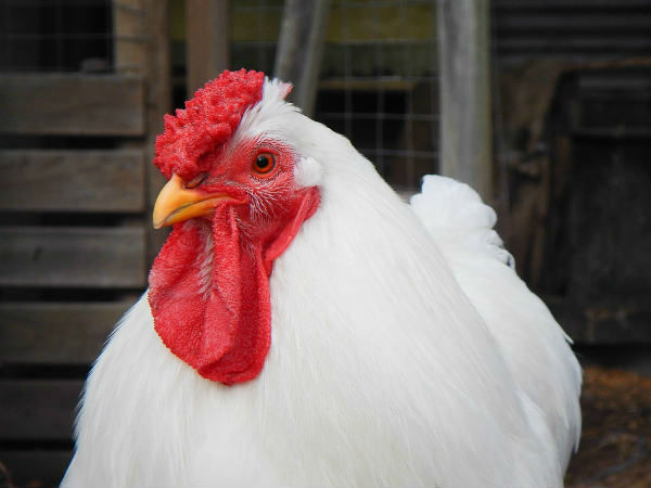 ആദ്യത്തെ സംഭവമല്ല