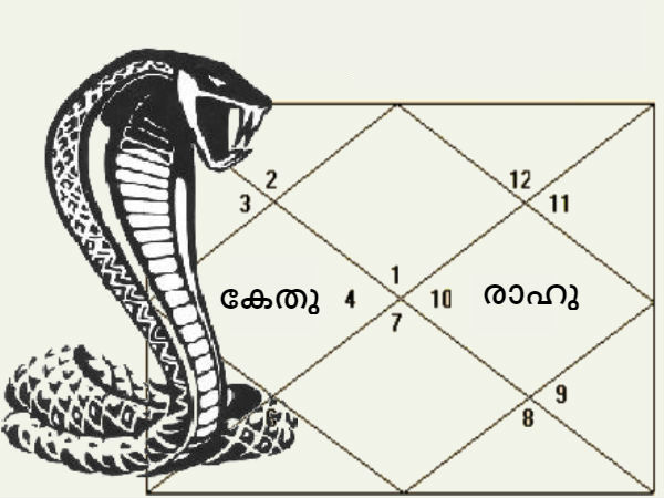 ജാതകവശാല്‍