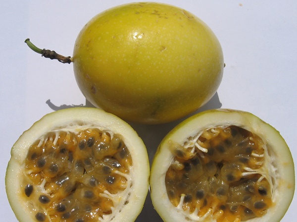 അമിതവണ്ണം കുറക്കാൻ