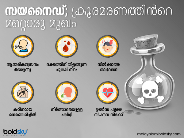 ശരീരത്തിൽ സംഭവിക്കുന്നത്