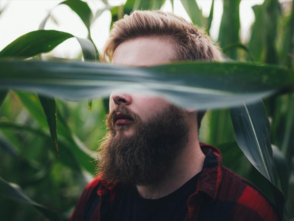 പ്രോട്ടീനും വിറ്റാമിനും നല്‍കാം