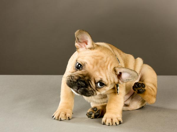 ചൂടായി കൂടൊരുക്കാം ചൂടായി കൂടൊരുക്കാം