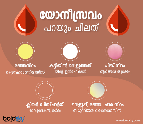 ബാക്ടീരിയല് ബാക്ടീരിയല്