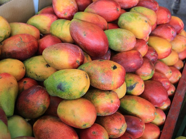 ഒരു പോഷക കലവറ