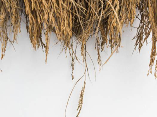 പുതുവത്സര പാരമ്പര്യങ്ങള്‍