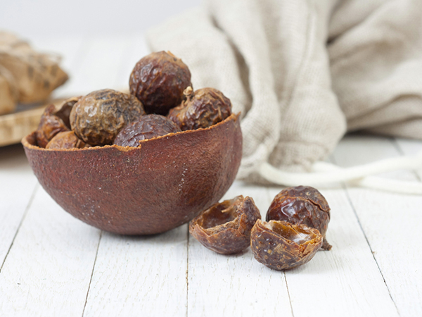 സോപ്പ് കായ