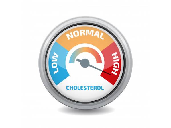 പ്രോട്ടീന് കണങ്ങളുടെ വലുപ്പം വര്ദ്ധിപ്പിക്കുന്നു പ്രോട്ടീന് കണങ്ങളുടെ വലുപ്പം വര്ദ്ധിപ്പിക്കുന്നു