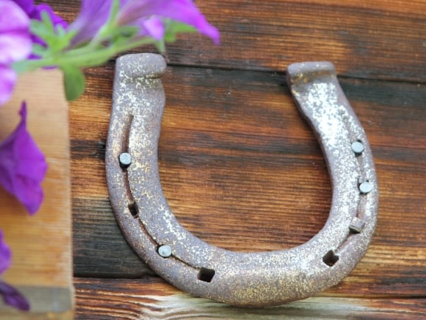 പ്രത്യേക ശക്തി