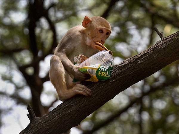 ചികിത്സ