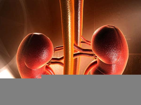 കിഡ്‌നി സ്റ്റോണ്‍