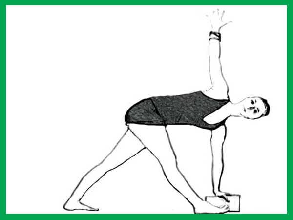 ബാക്ക് ട്വിസ്റ്റുകള്‍