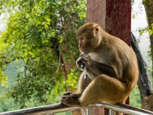ഈ കാര്യങ്ങള്‍ ശ്രദ്ധിക്കുക